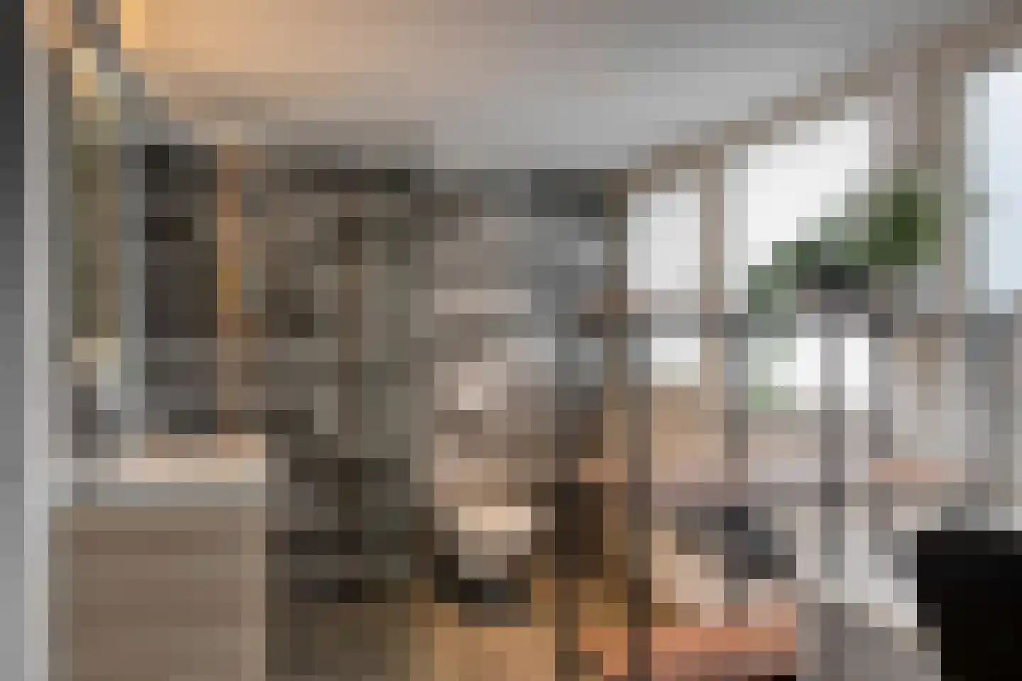 Drossaardstraat 18 Geldrop thumbnail 33