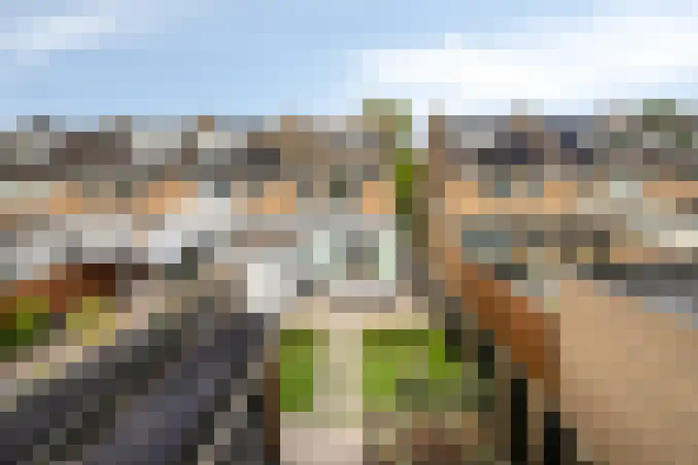 Drossaardstraat 18 Geldrop thumbnail 40