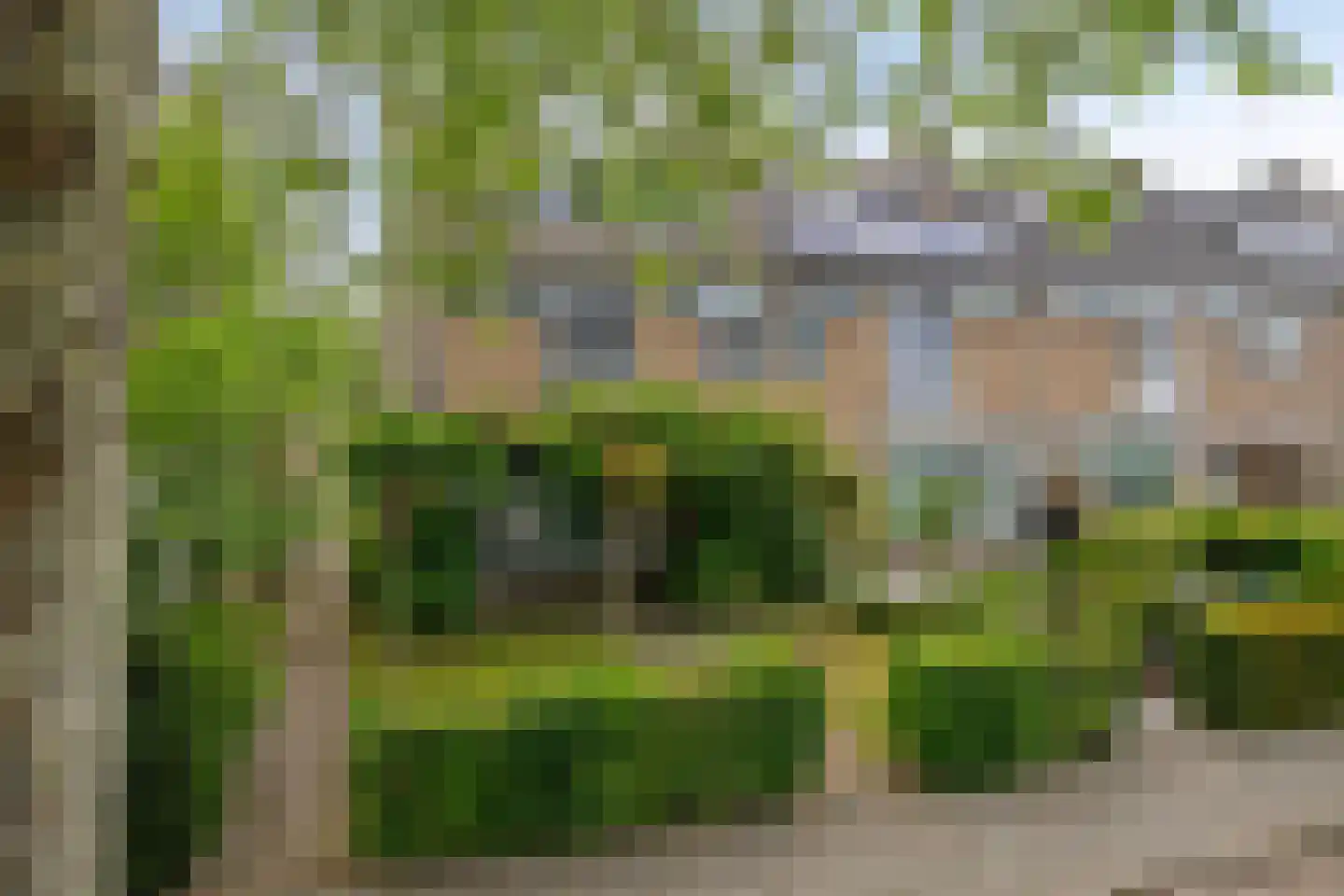 Drossaardstraat 18 Geldrop thumbnail 41