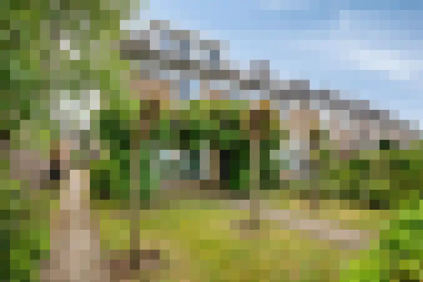Drossaardstraat 18 Geldrop thumbnail 43