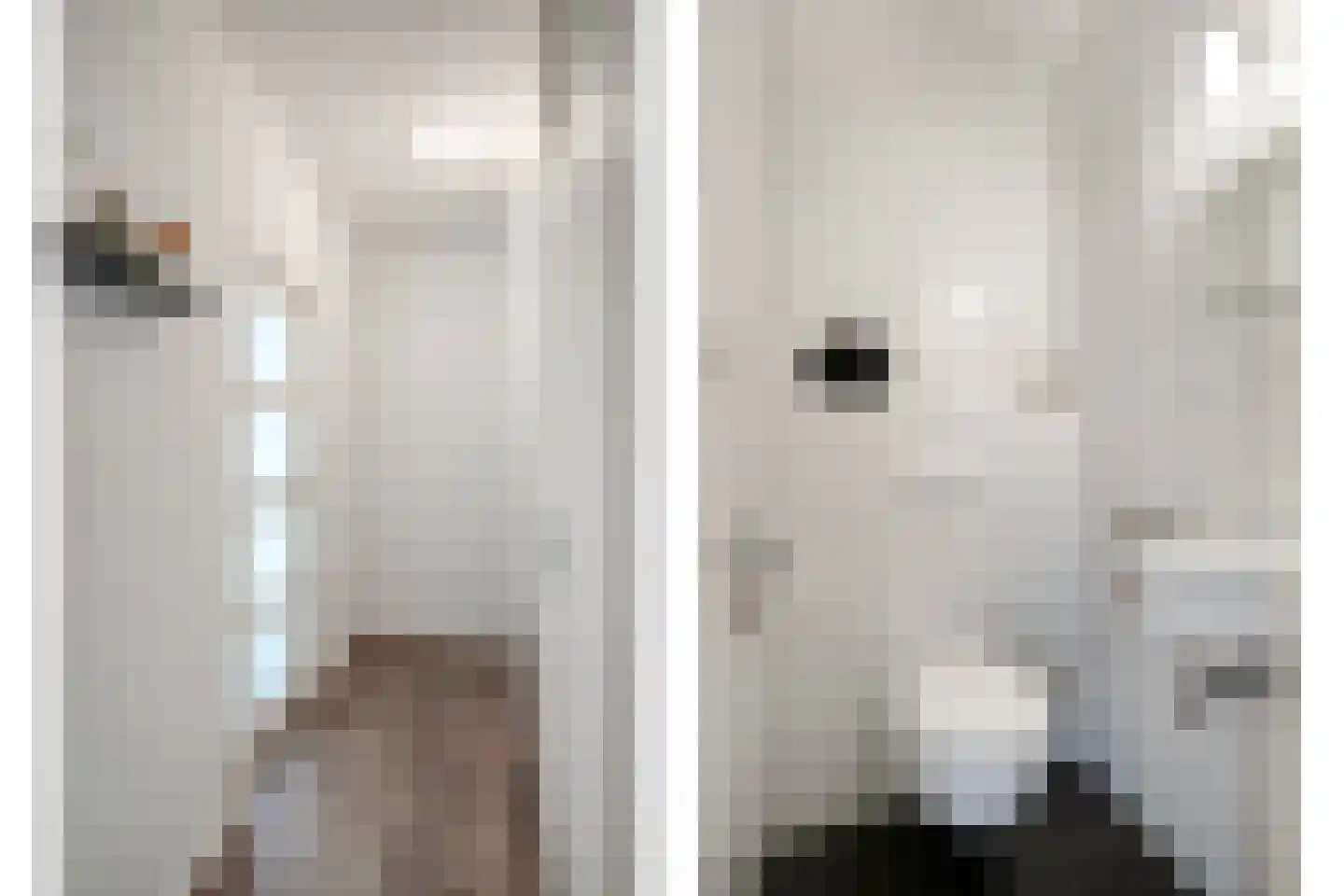 Drossaardstraat 18 Geldrop thumbnail 5