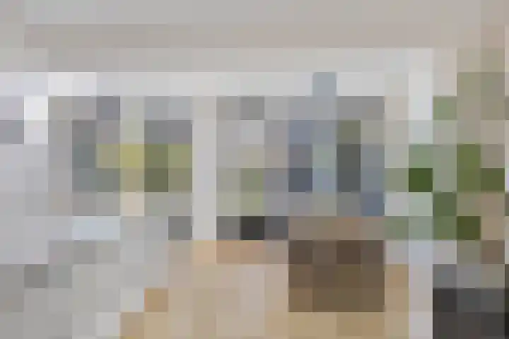 Drossaardstraat 4 Geldrop thumbnail 10