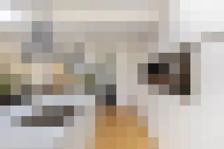 Drossaardstraat 4 Geldrop thumbnail 11