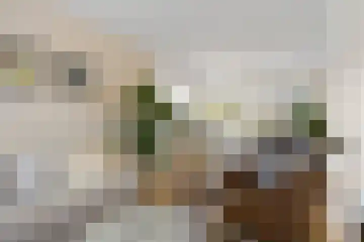 Drossaardstraat 4 Geldrop thumbnail 12