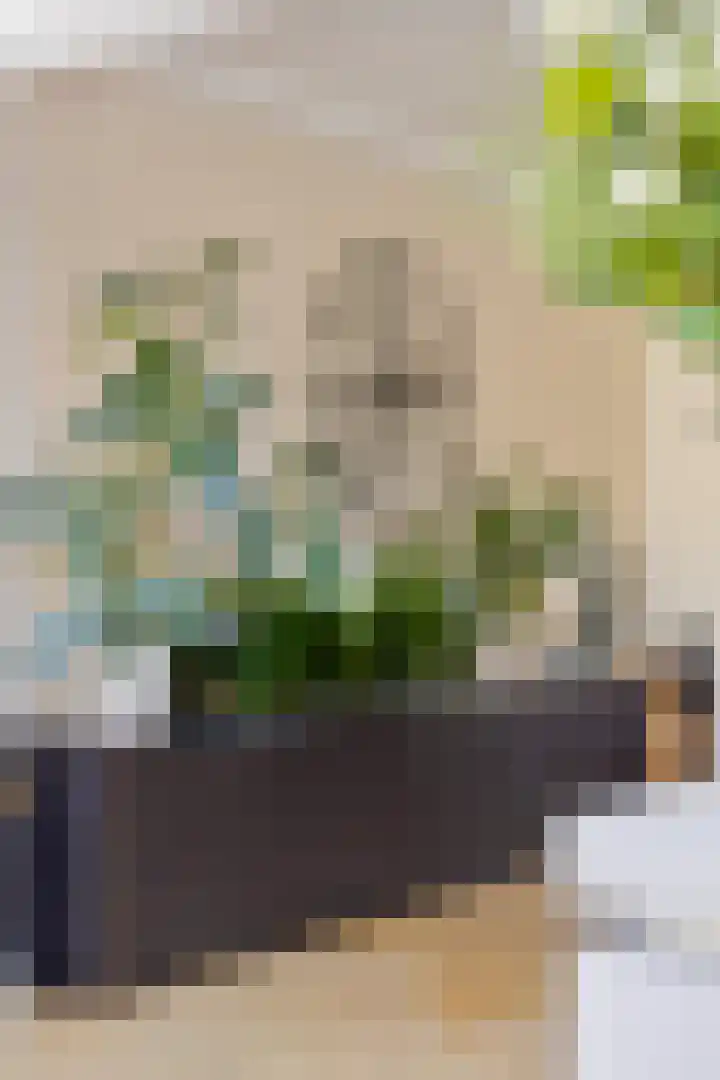 Drossaardstraat 4 Geldrop thumbnail 14