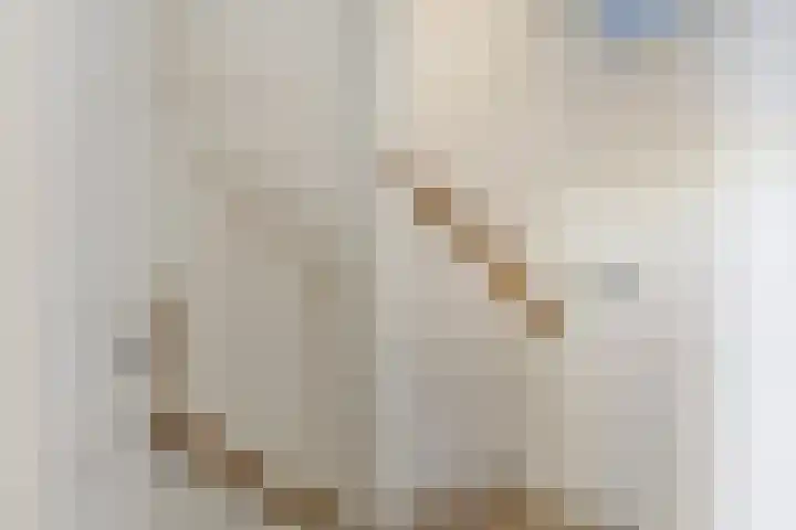 Drossaardstraat 4 Geldrop thumbnail 21