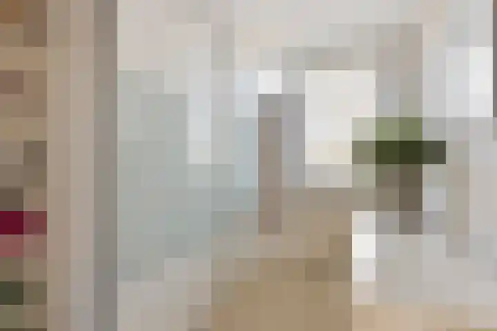 Drossaardstraat 4 Geldrop thumbnail 27