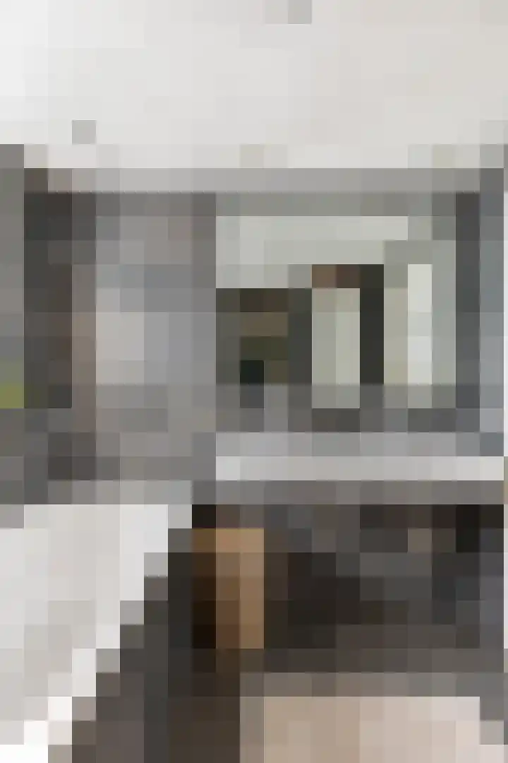 Drossaardstraat 4 Geldrop thumbnail 29