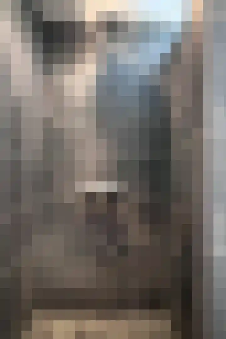 Drossaardstraat 4 Geldrop thumbnail 30