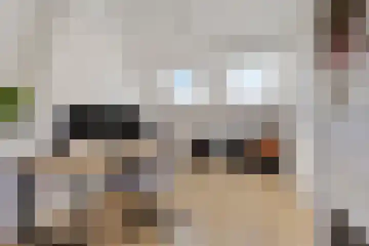 Drossaardstraat 4 Geldrop thumbnail 33