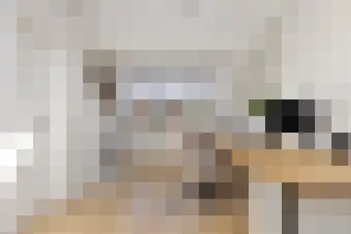 Drossaardstraat 4 Geldrop thumbnail 34