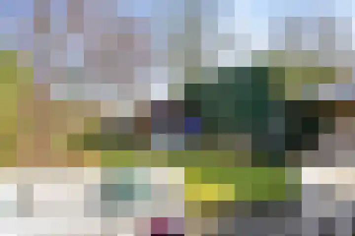 Drossaardstraat 4 Geldrop thumbnail 38