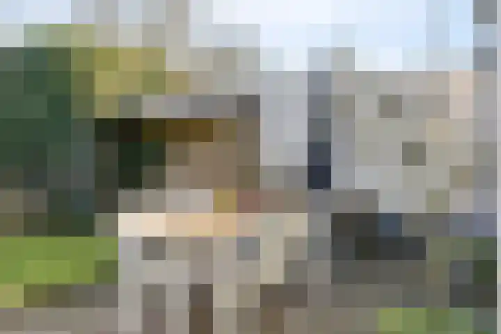 Drossaardstraat 4 Geldrop thumbnail 39