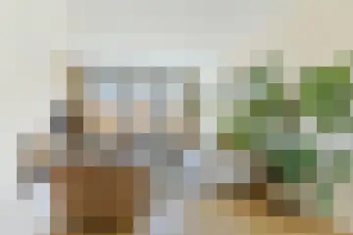 Drossaardstraat 4 Geldrop thumbnail 4