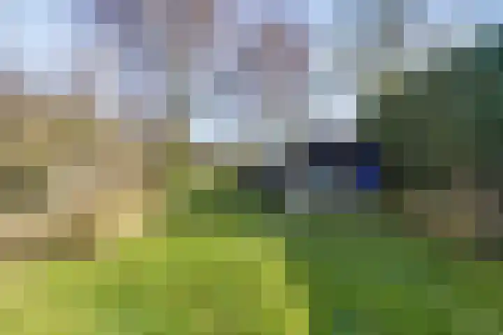 Drossaardstraat 4 Geldrop thumbnail 40