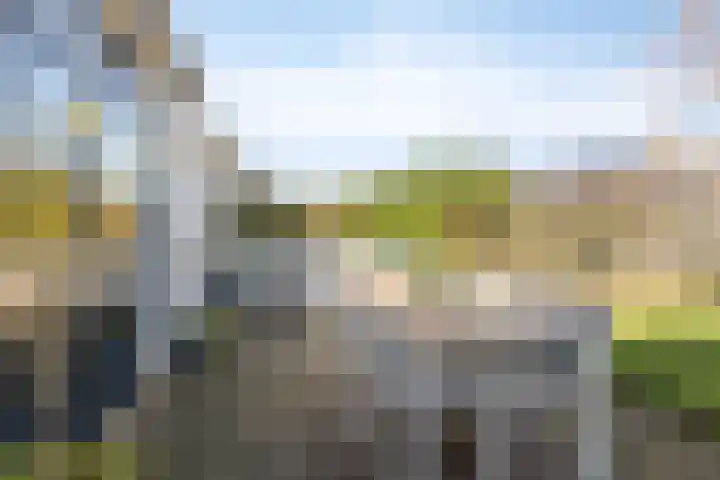 Drossaardstraat 4 Geldrop thumbnail 41