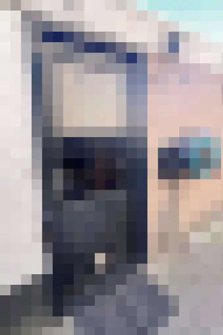 Drossaardstraat 4 Geldrop thumbnail 44