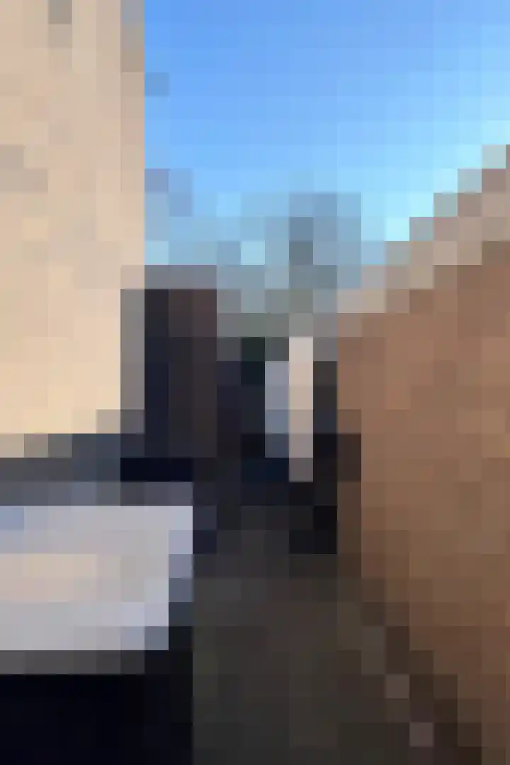 Drossaardstraat 4 Geldrop thumbnail 45