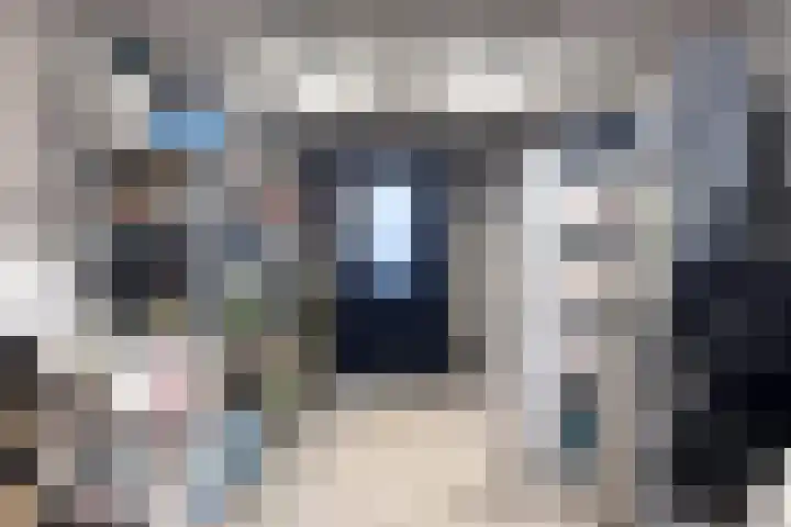 Drossaardstraat 4 Geldrop thumbnail 47
