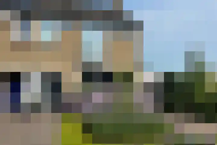 Drossaardstraat 4 Geldrop thumbnail 53
