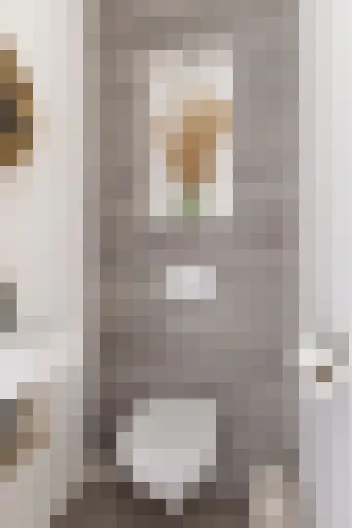 Drossaardstraat 4 Geldrop thumbnail 8