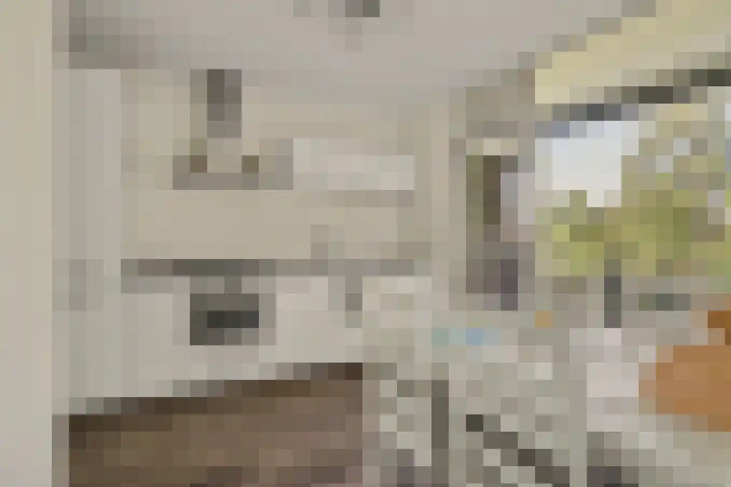 Drossaardstraat 45 Geldrop thumbnail 10
