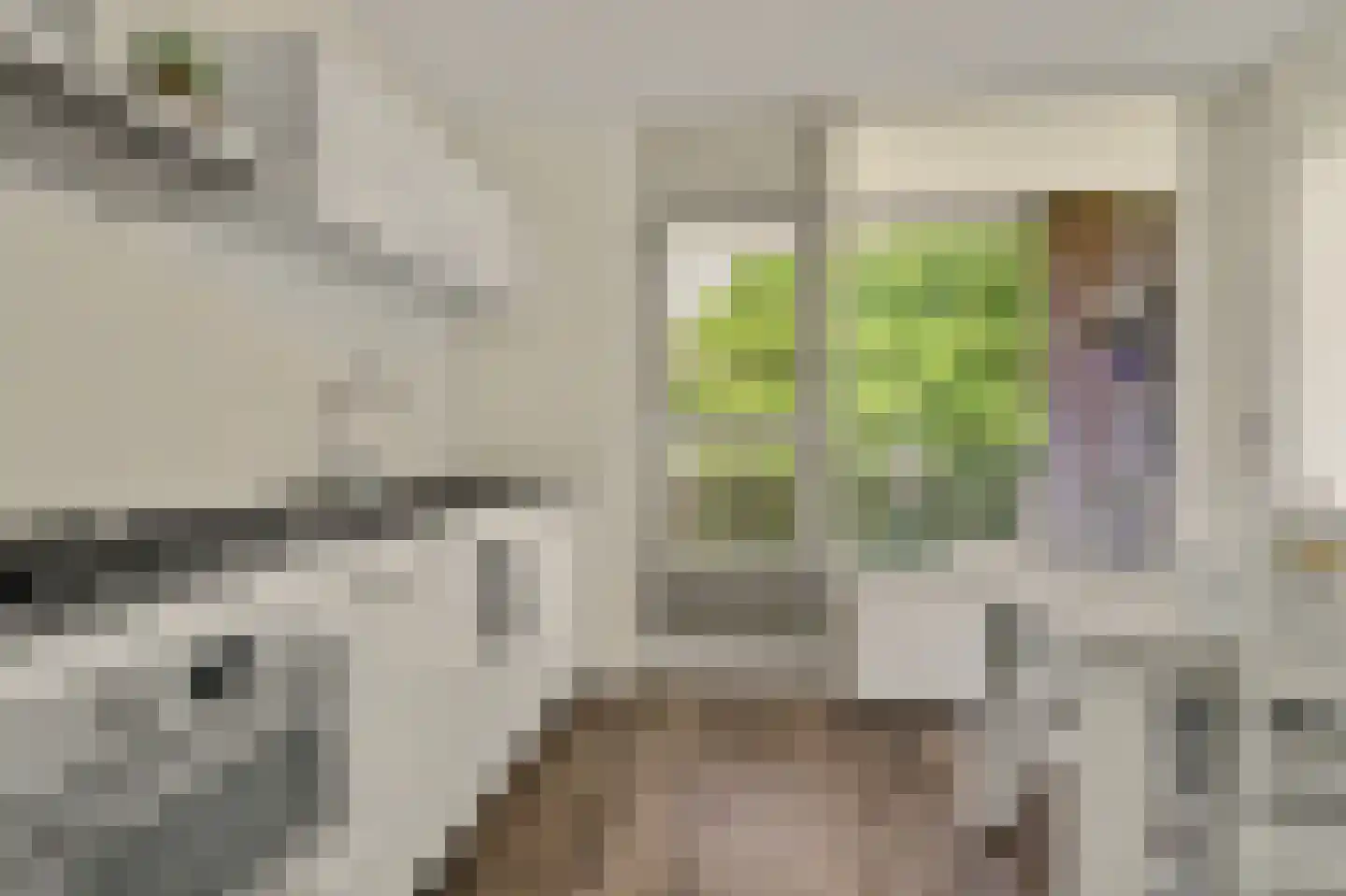Drossaardstraat 45 Geldrop thumbnail 13