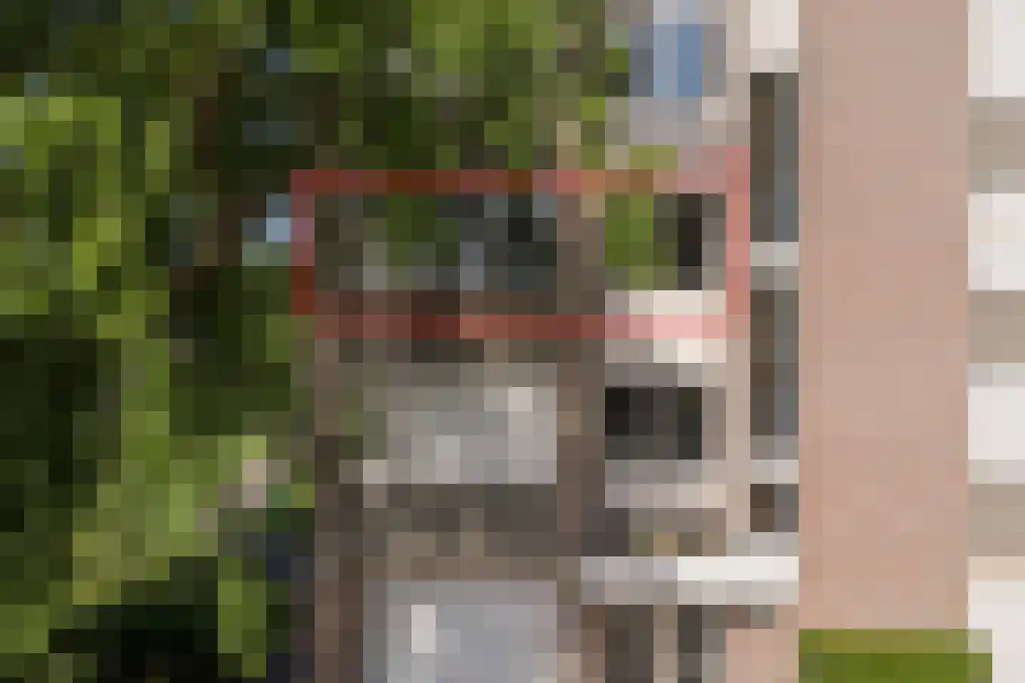 Drossaardstraat 45 Geldrop thumbnail 28