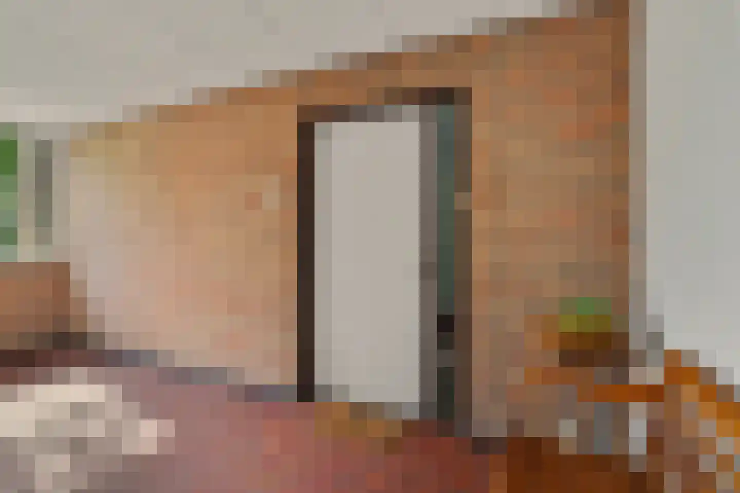 Drossaardstraat 45 Geldrop thumbnail 31