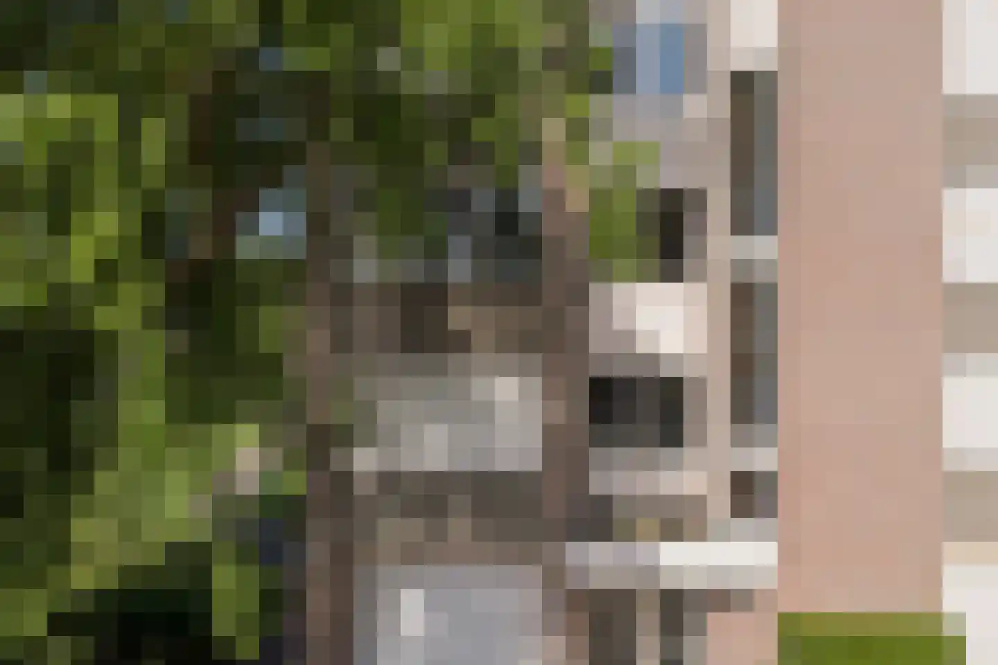 Drossaardstraat 45 Geldrop thumbnail 34