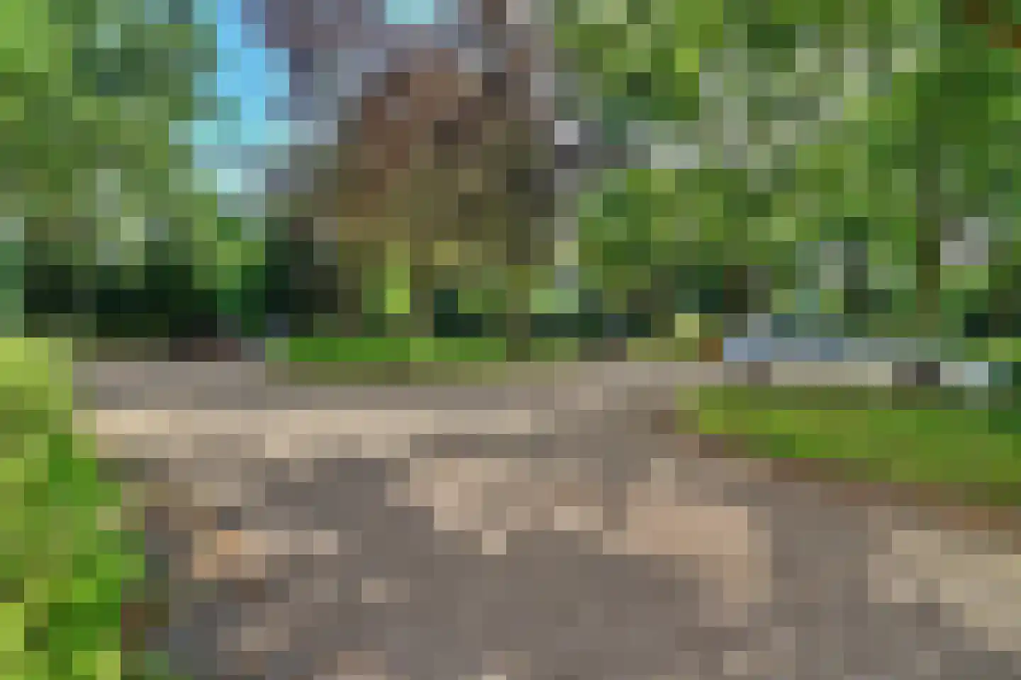 Drossaardstraat 45 Geldrop thumbnail 36