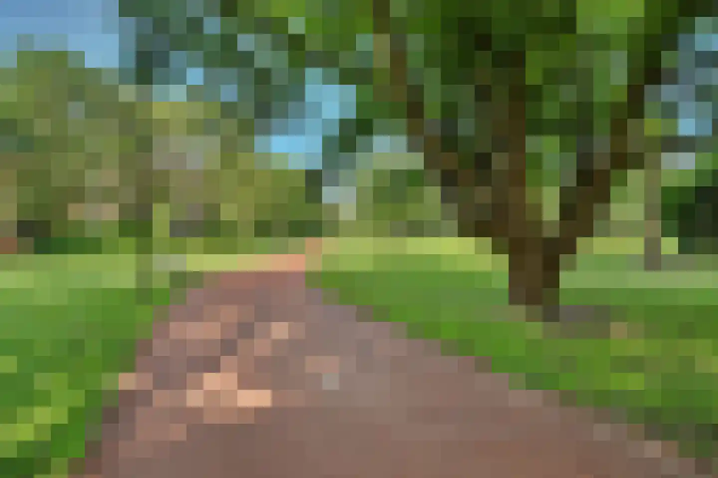 Drossaardstraat 45 Geldrop thumbnail 38