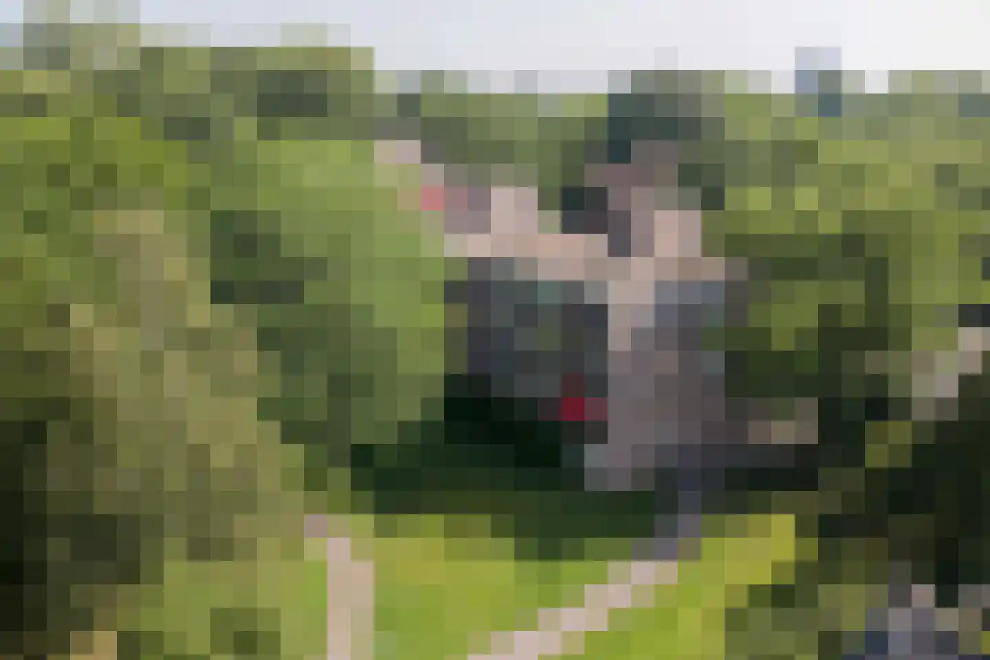 Drossaardstraat 45 Geldrop thumbnail 4
