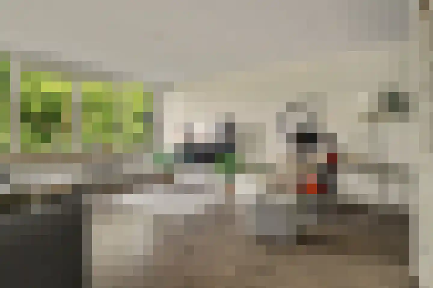 Drossaardstraat 45 Geldrop thumbnail 5