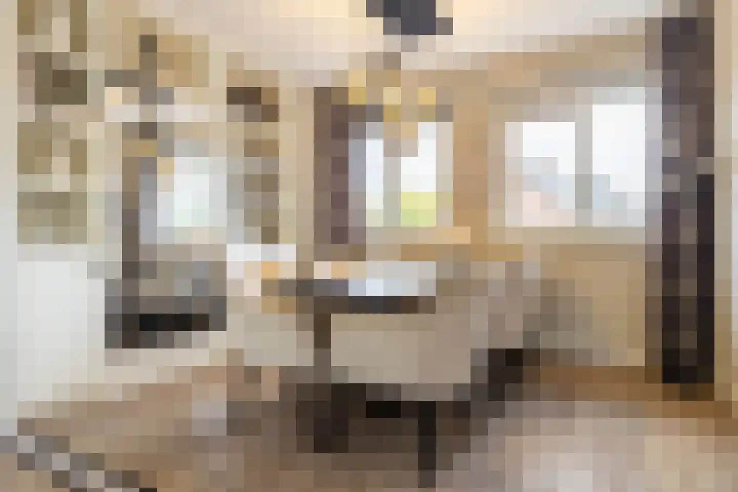 Drossaardstraat 55 Oosterhout thumbnail 10