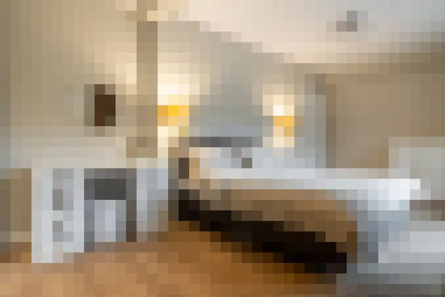 Drossaardstraat 55 Oosterhout thumbnail 17