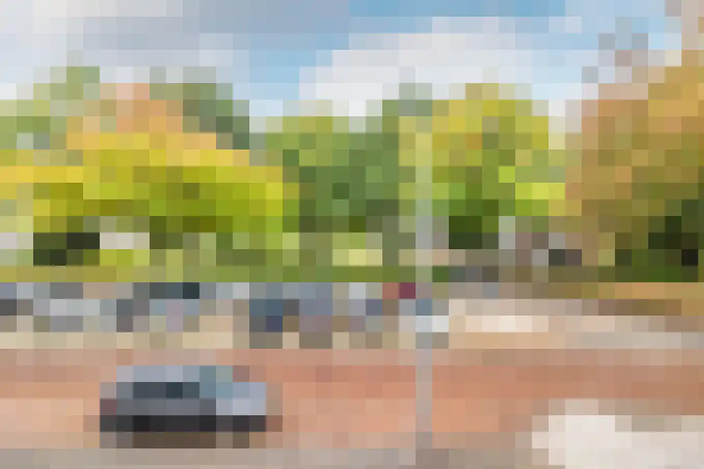 Drossaardstraat 55 Oosterhout thumbnail 26