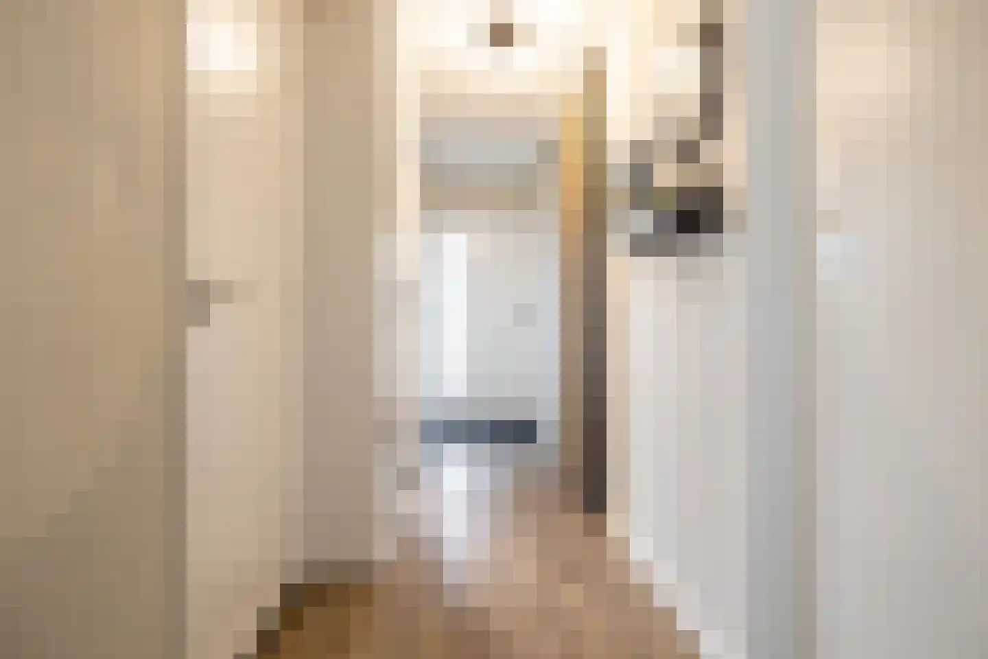 Drossaardstraat 55 Oosterhout thumbnail 5