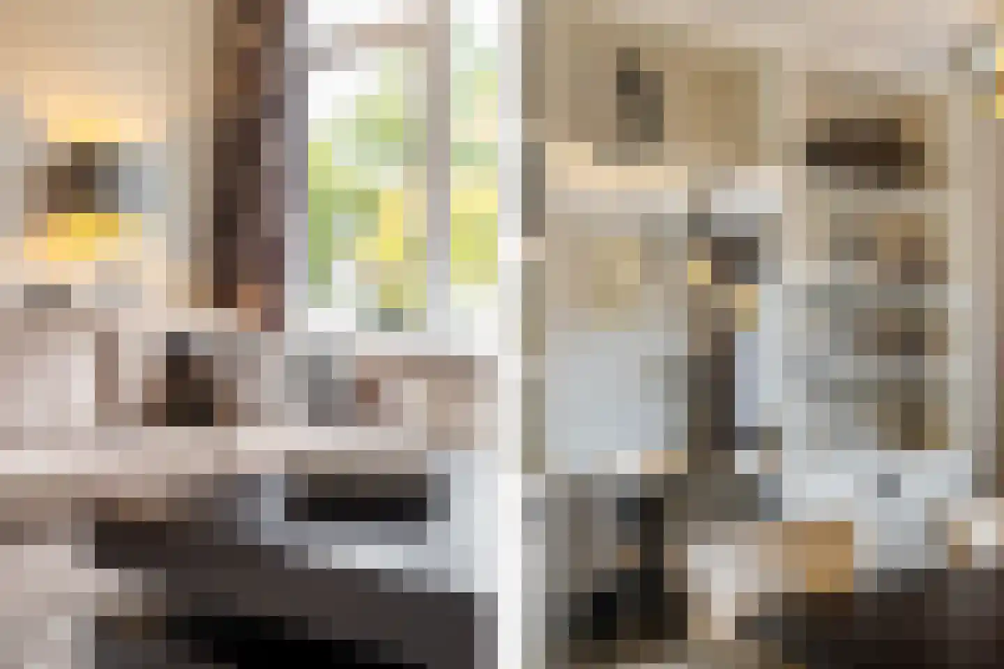 Drossaardstraat 55 Oosterhout thumbnail 9