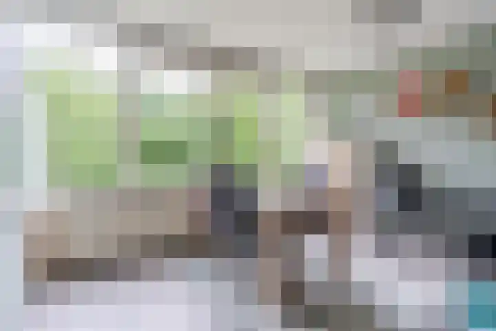 Drossaardstraat 57 Geldrop thumbnail 14