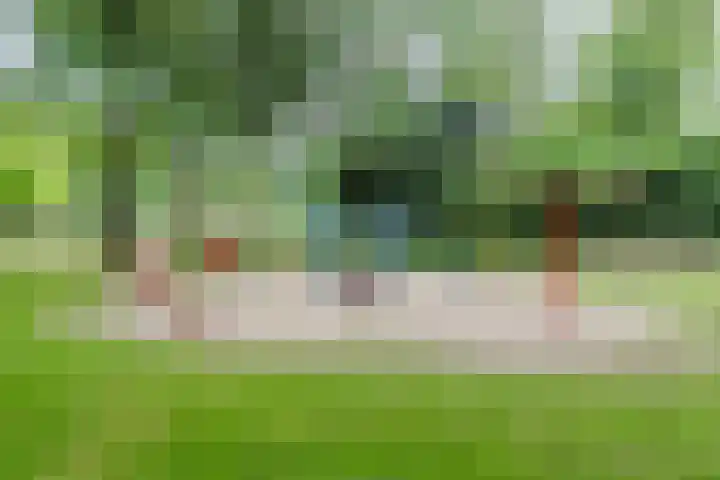 Drossaardstraat 57 Geldrop thumbnail 33