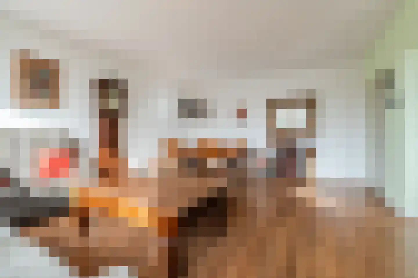 Drossaardstraat 61 Geldrop thumbnail 13