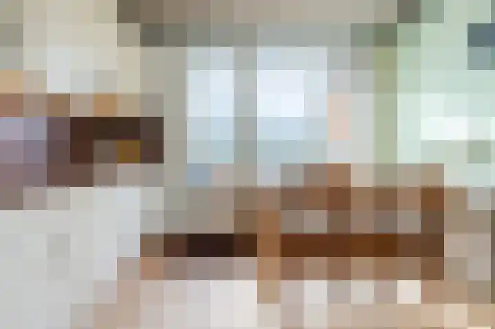 Drossaardstraat 61 Geldrop thumbnail 17