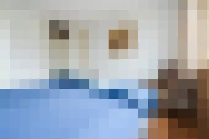 Drossaardstraat 61 Geldrop thumbnail 21