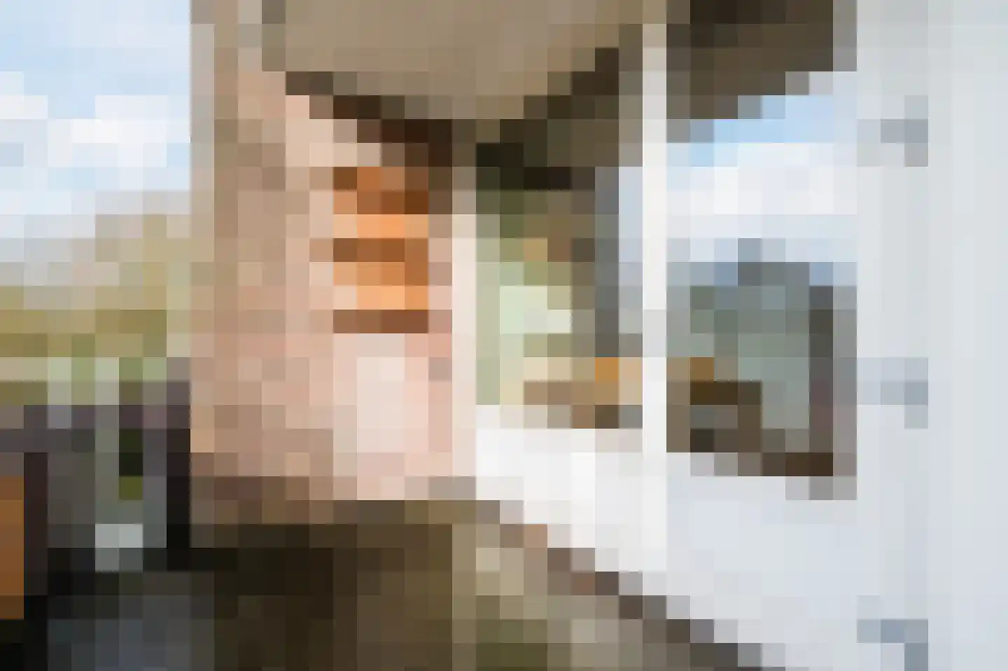Drossaardstraat 61 Geldrop thumbnail 26