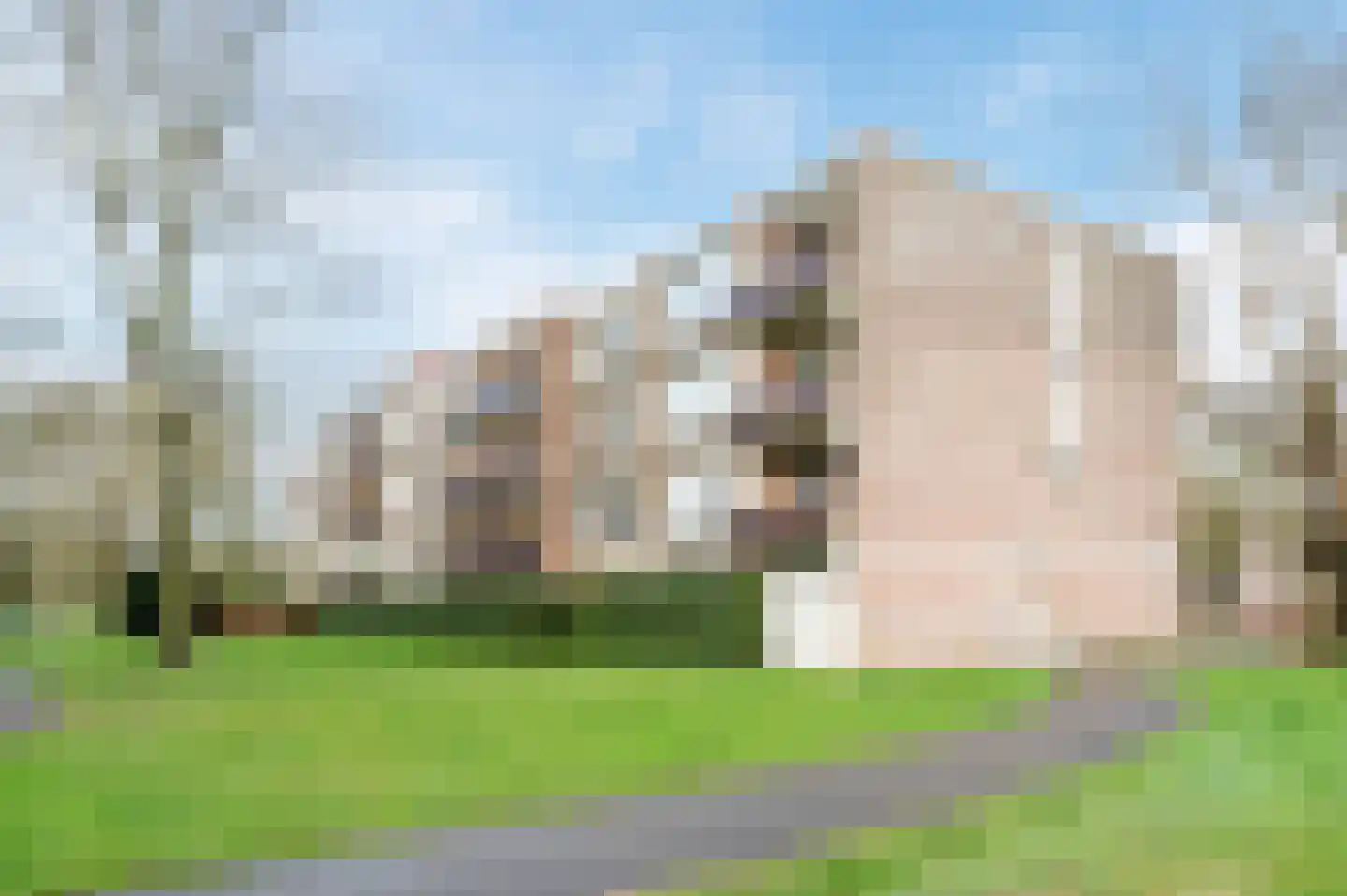 Drossaardstraat 61 Geldrop thumbnail 31