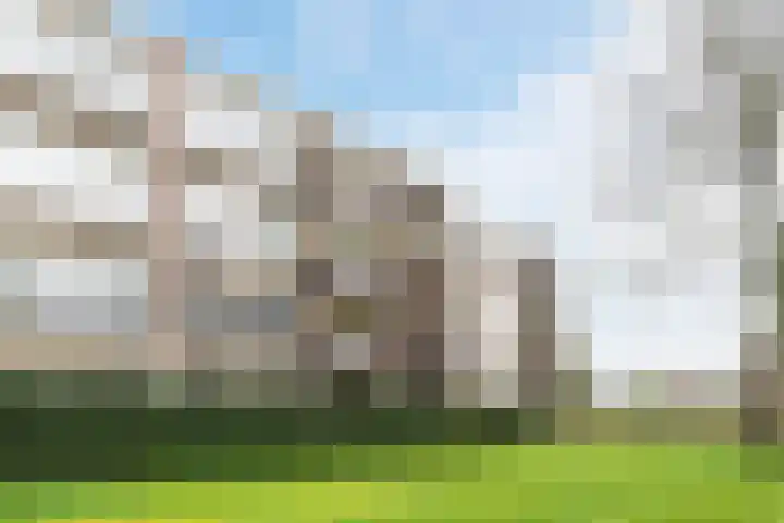 Drossaardstraat 61 Geldrop thumbnail 32