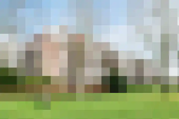 Drossaardstraat 61 Geldrop thumbnail 33