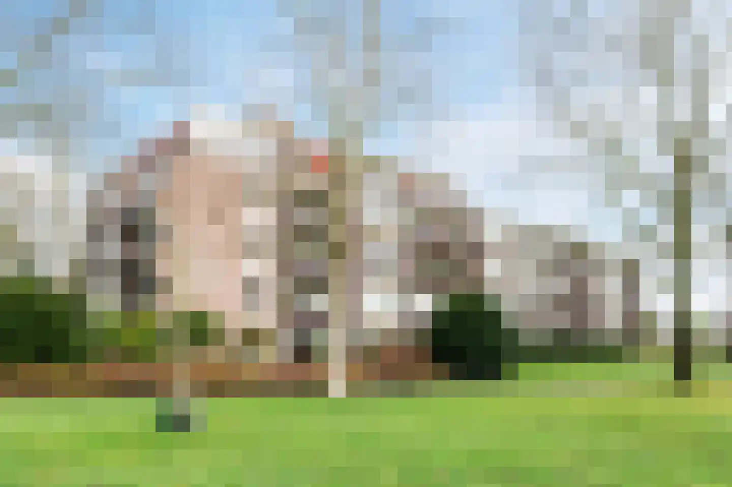 Drossaardstraat 61 Geldrop thumbnail 33
