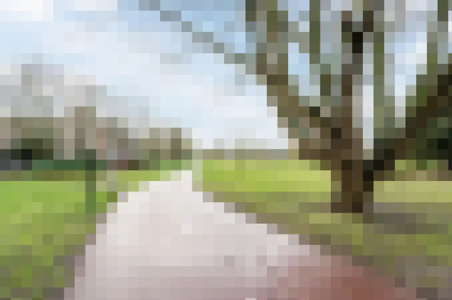 Drossaardstraat 61 Geldrop thumbnail 37
